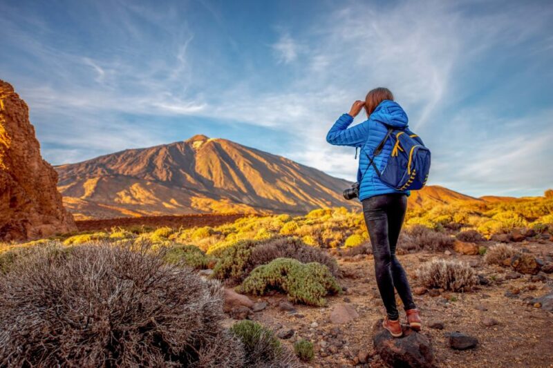 From South Tenerife: Mount Teide Hiking Day Trip & Cable Car - Itinerary and Highlights