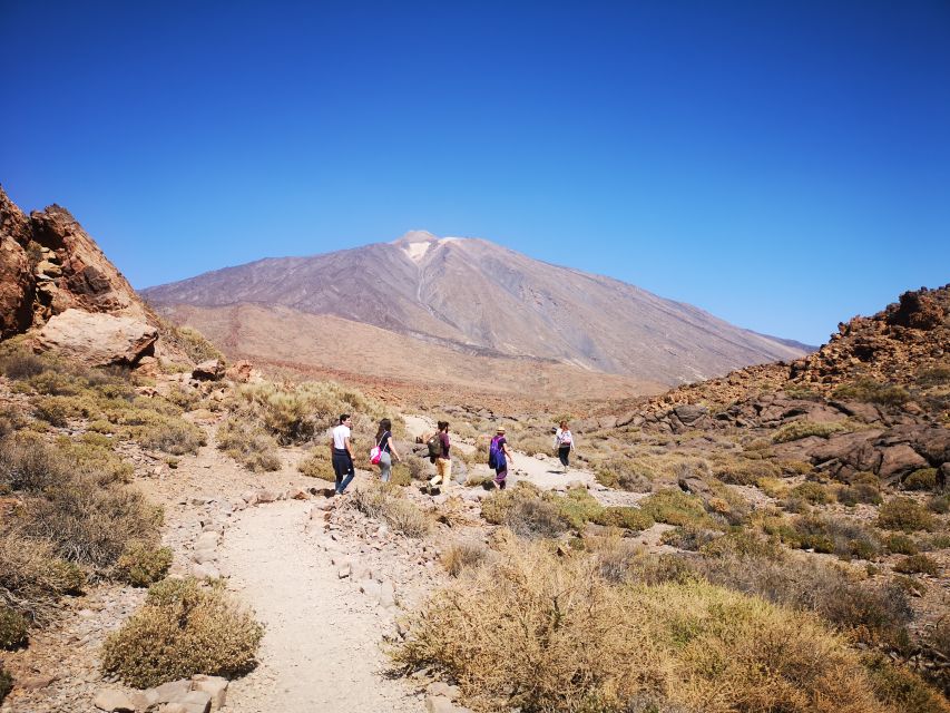 From South Tenerife: Teide National Park Tour - Itinerary Highlights