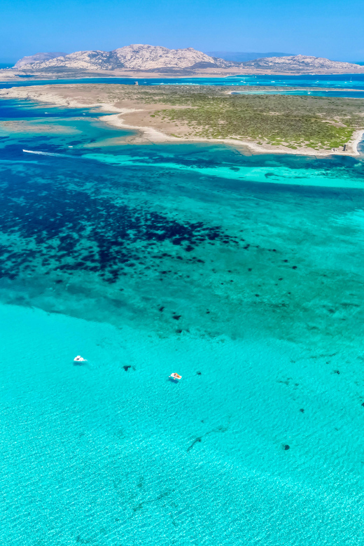 From Stintino: Half-Day Speedboat Tour to Asinara - Inclusions