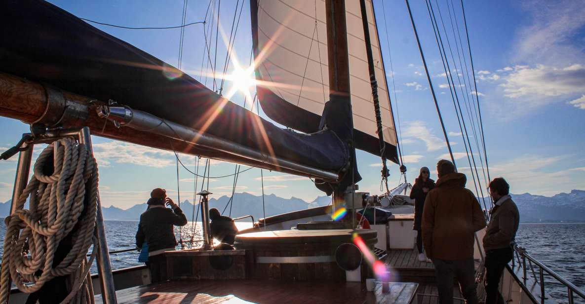 From Svolvær: Lofoten Islands Midnight Sun Luxury Sail - Unique Experience Highlights