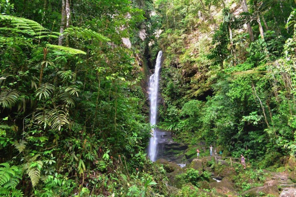 From Tarapoto: Ahuashiyacu Waterfall Half Day Tour - Itinerary Details