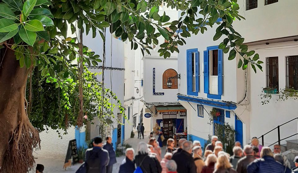 From Tarifa: Tangier Essential Day Trip With Ferry Tickets - Itinerary and Experience