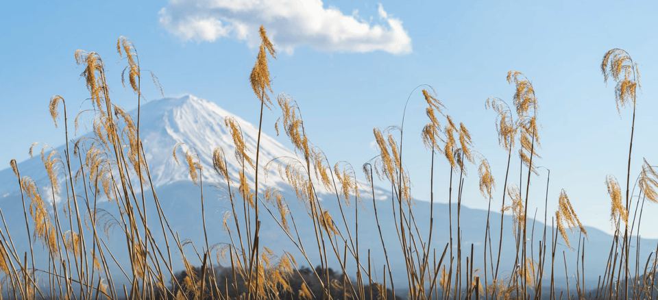 From Tokoyo - Mount FUJI Classic Highlight Joiner Day Tour - Mount Fuji Attractions