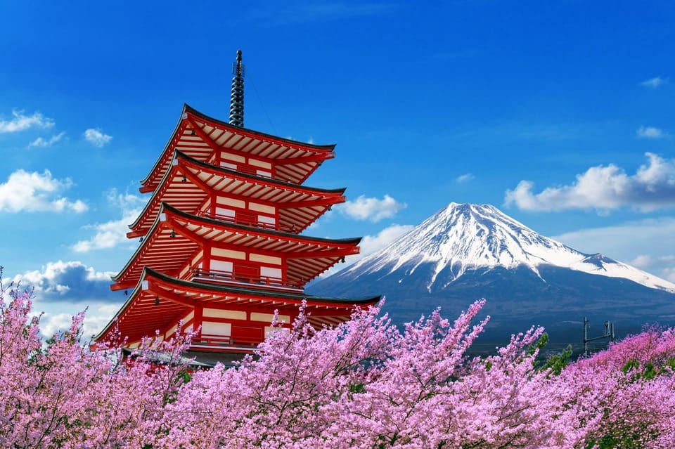 From Tokyo: 1 Day Mount Fuji Private Guided Tour - Inclusions and Experience