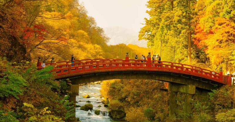From Tokyo: Explore Nikko in a One Day, Shrine, Waterfall - Transportation Details