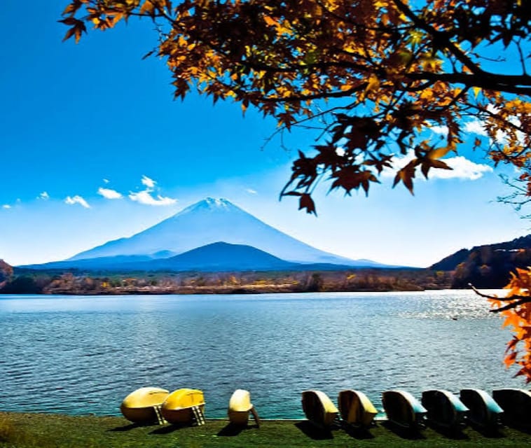 From Tokyo: Hakone, Lake Asahi & Oshino Hakkai Private Tour - Transportation Details