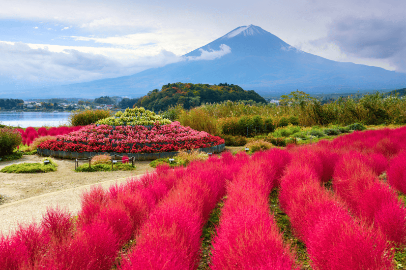 From Tokyo: Mount Fuji and Fuji 5 Lakes Private Guided Tour - Itinerary Highlights