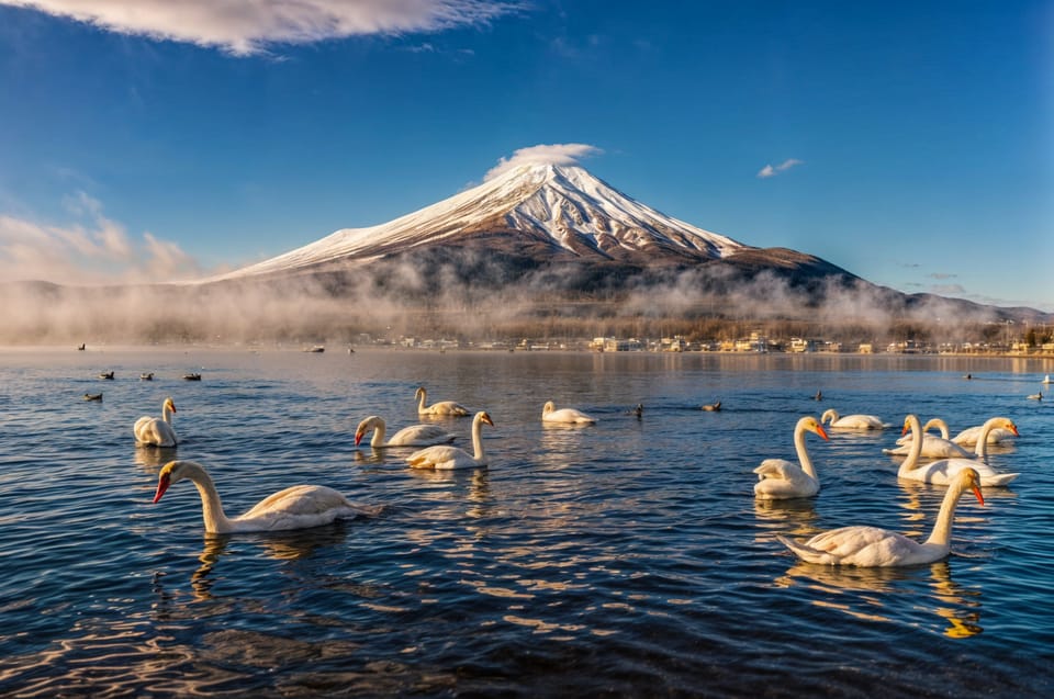 From Tokyo: Mount Fuji and Hakone Full Day Trip - Customer Feedback