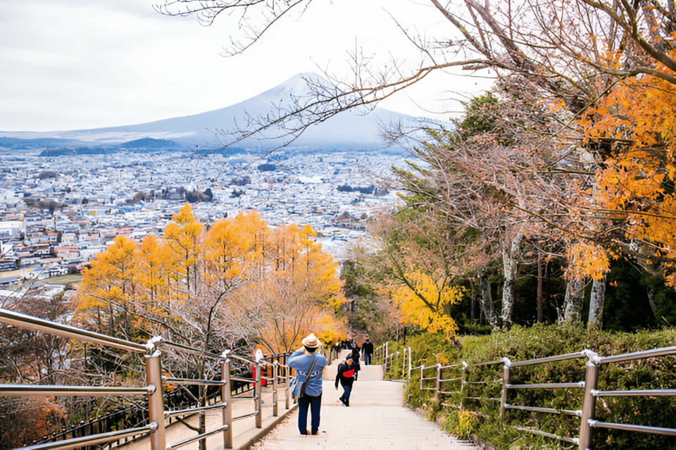 From Tokyo: Mount Fuji and Hakone Full Day Trip - Tour Inclusions