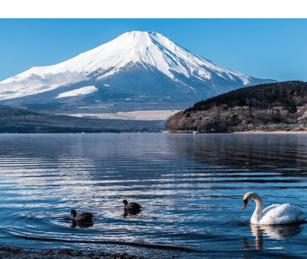 From Tokyo: Mount Fuji Day Trip By English Speaking Driver - Pickup Locations and Accessibility