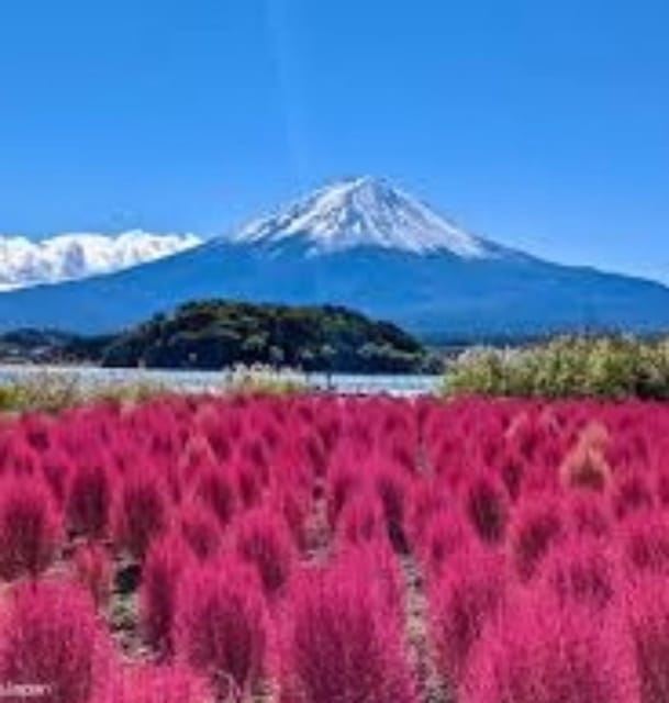 From Tokyo: Mount Fuji Day Trip - Itinerary Details