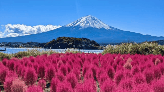 From Tokyo: Mount Fuji Private Day Trip - Booking and Cancellation Policy