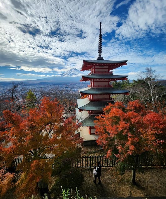 From Tokyo: Mount Fuji Private Tour With Driver - Itinerary Highlights