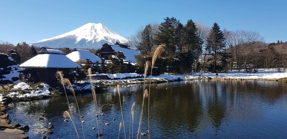 From Tokyo: Mt Fuji and Lake Kawaguchiko Private Day Trip - Transportation and Accessibility