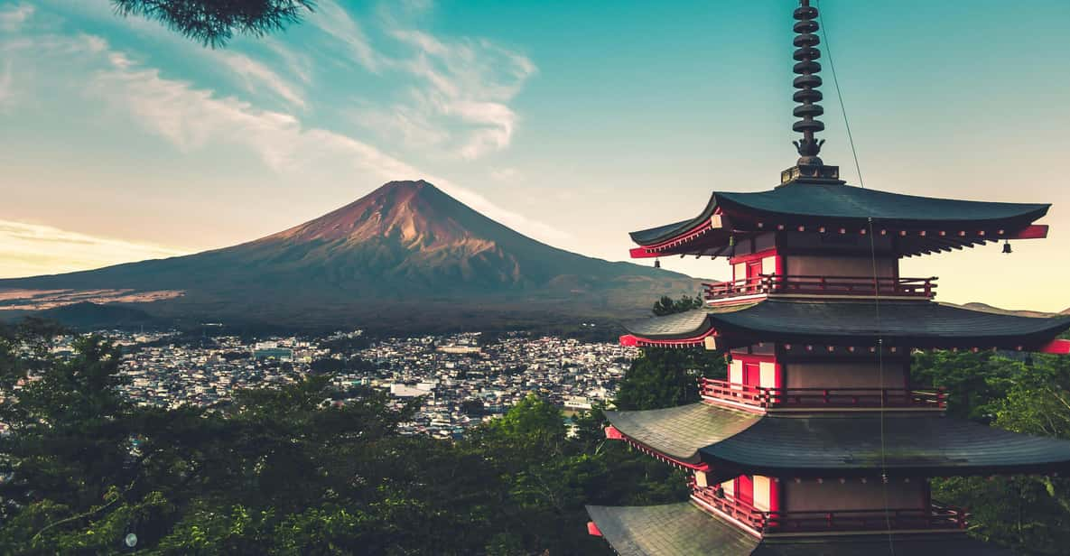 From Tokyo: Mt. Fuji or Hakone Private Sightseeing Day Trip - Pickup and Transportation