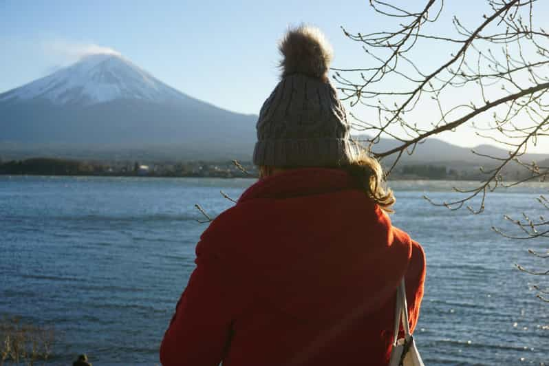 From Tokyo: Mt. Fuji or Hakone Sightseeing Private Day Tour - Itinerary Highlights