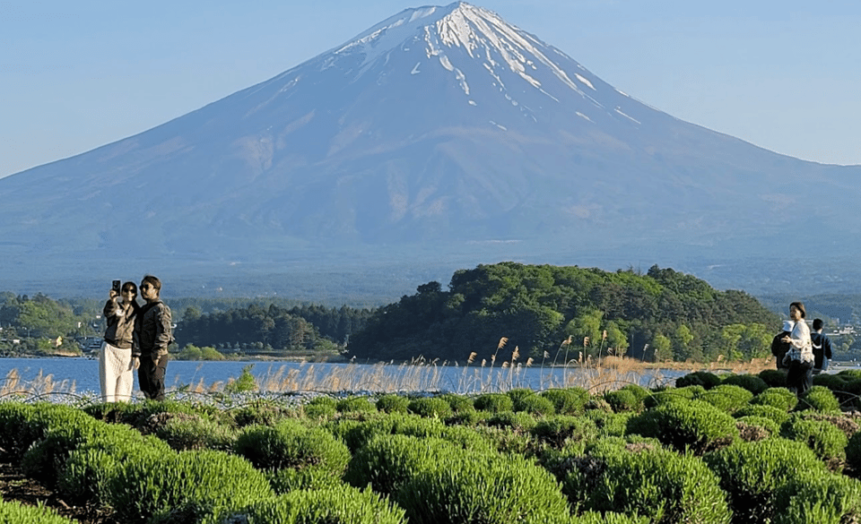 From Tokyo: Mt. Fuji Private Day Tour With English Driver - Transportation Details