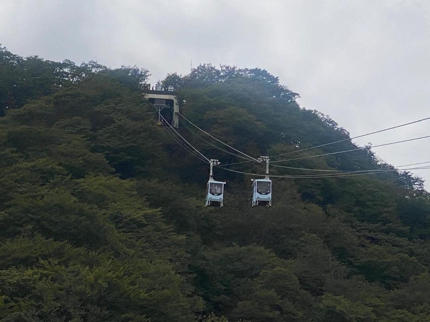 From Tokyo : Nikko Full Day Private Sightseeing Tour - Contact and Communication Options