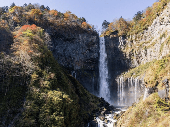 From Tokyo : Nikko Full Day Private Sightseeing Tour - Accessibility Features