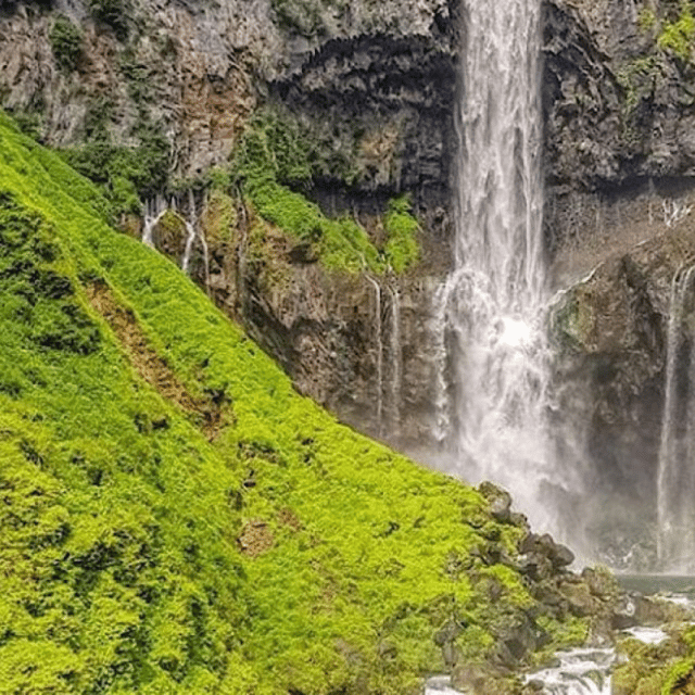 From Tokyo: Nikko Sightseeing Private Day Tour English Guide - Booking Process