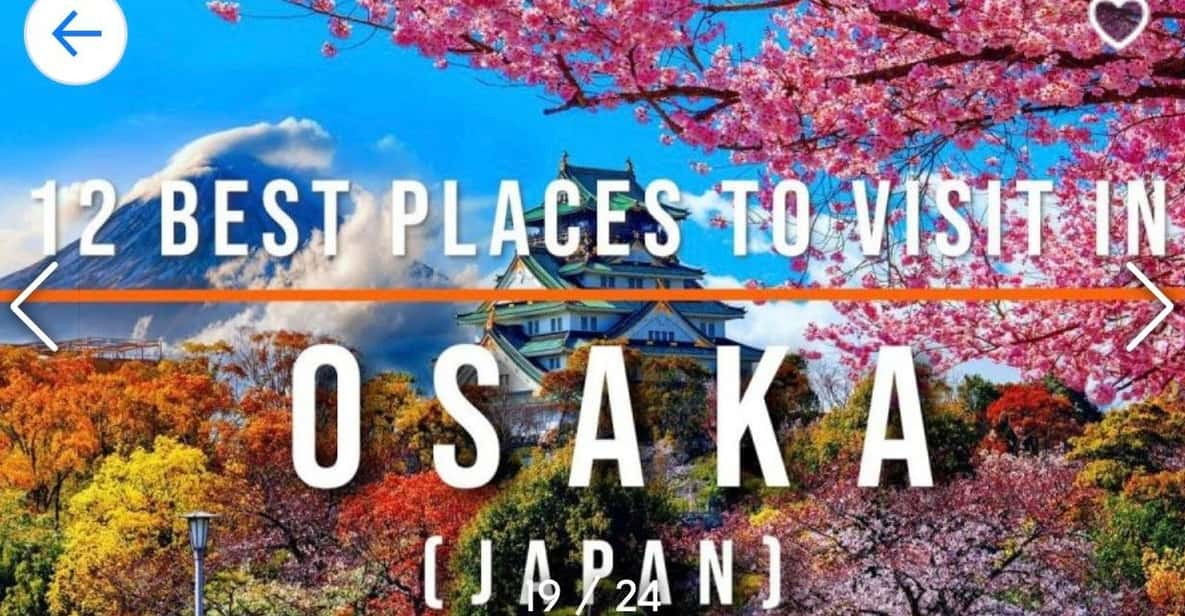 From Tokyo-Private Osaka Kyoto Nara Tour With English Guide - Daily Itinerary