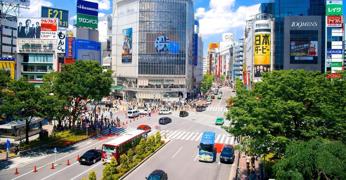 From Tokyo Private Tour With English Speaking Driver - Transportation Details