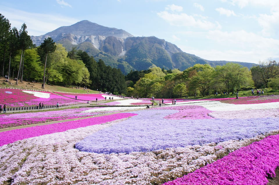 From Tokyo: Seibu Railway 1 Day Pass and Nagatoro - Travel Experience