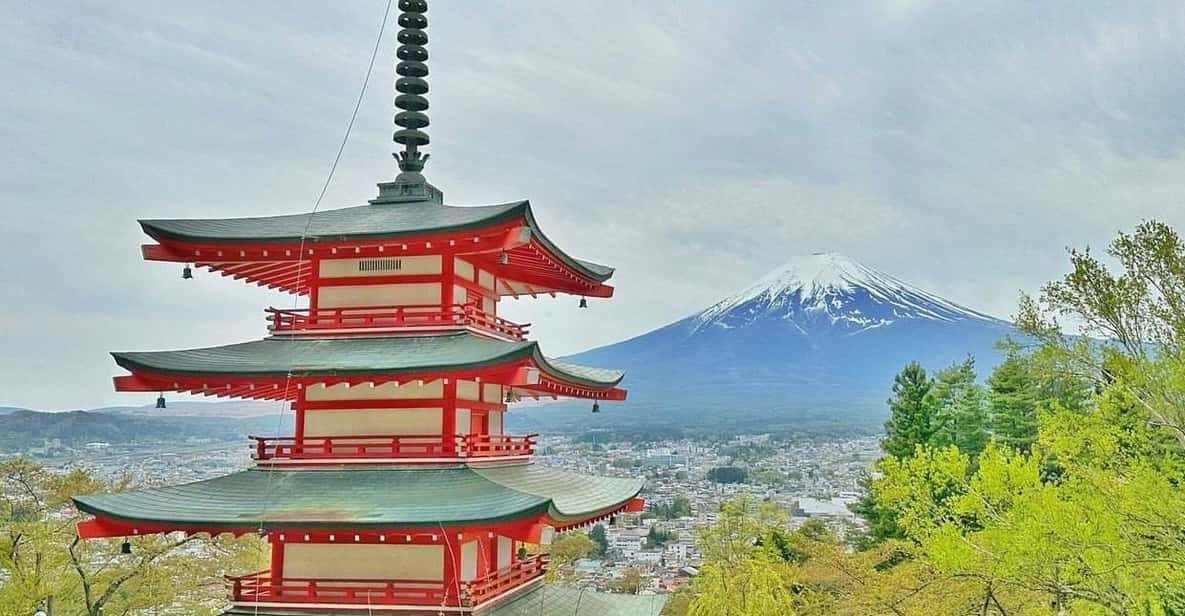 From Tokyo:Mount Fuji Customize Day Tour With English Driver - Customizable Itinerary Options