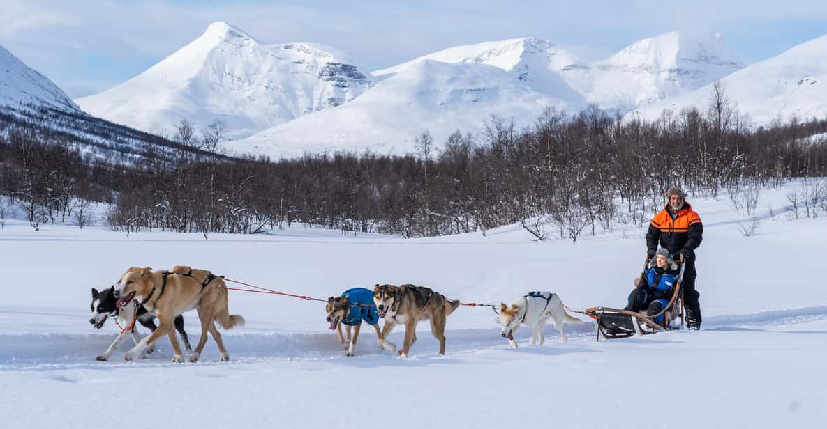 From Tromsø: Dog Sledding Adventure in Tamokdalen - Experience Highlights