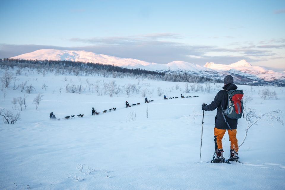 From Tromsø: Guided Husky Snowshoe Hike and Husky Camp Visit - Exploring Tromsø and Kvaloya