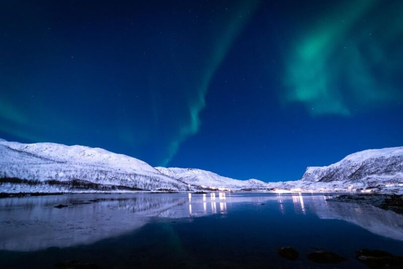 From Tromsø: Northern Lights Guided Bus Chase - Experience Highlights