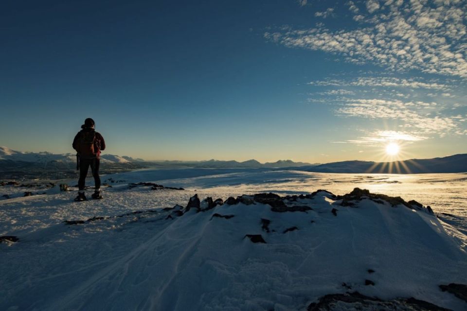 From Tromsø: Snowshoe Hike in the Arctic - Detailed Itinerary