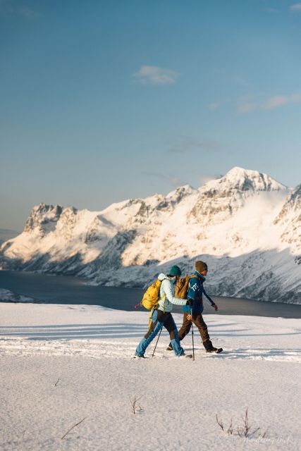 From Tromsø: Snowshoeing Hike With Picnic Lunch and Photos - Itinerary Breakdown