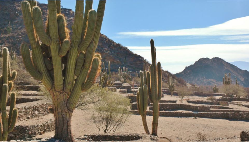 From Tucumán: Tafí Del Valle, Quilmes Ruins, and Cafayate - Transportation and Logistics