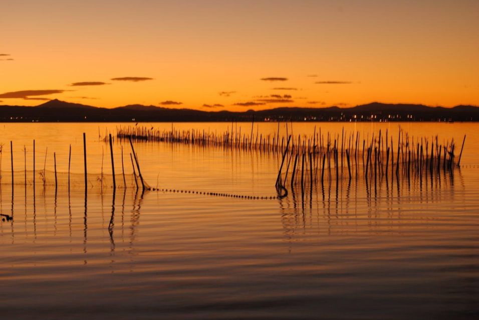 From Valencia: Albufera Natural Park With Sunset Boat Tour - Itinerary and Duration