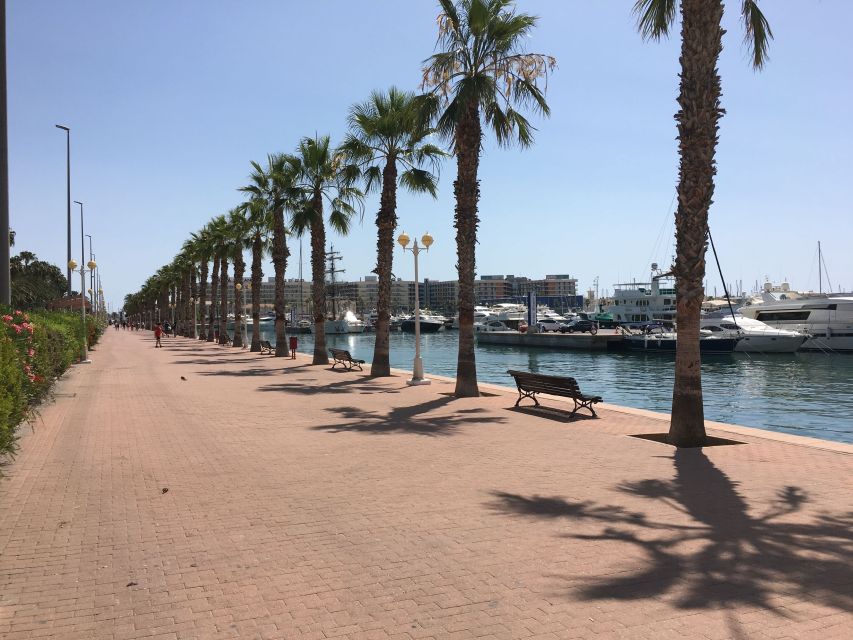 From Valencia: Private Day Trip to Alicante With Local Guide - Guided Tour Highlights