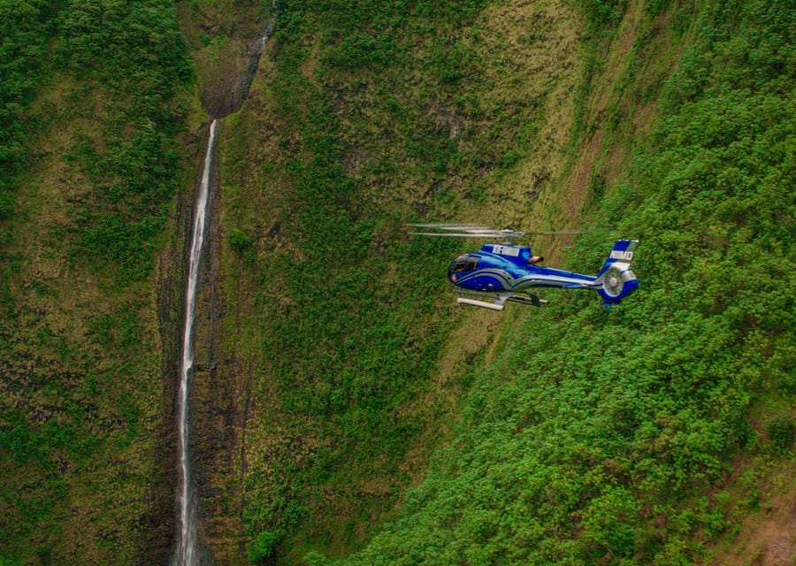 From Waikoloa: Kohala Coast Helicopter Adventure - Helicopter Experience Details