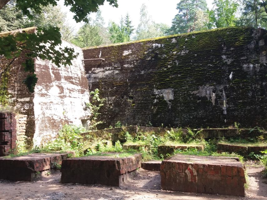 From Warsaw: Tour of the Wolfs Lair, Hitlers HQ by Car - Experience Highlights