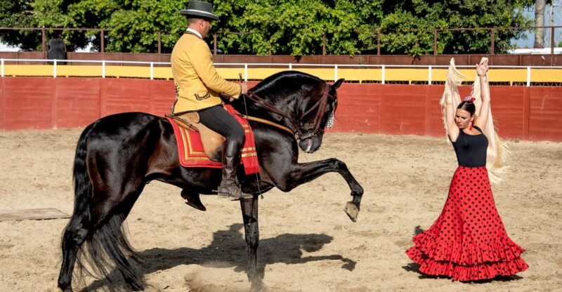 Fuengirola: Spanish Horse Show With Optional Dinner/Flamenco - Show Schedule and Transportation