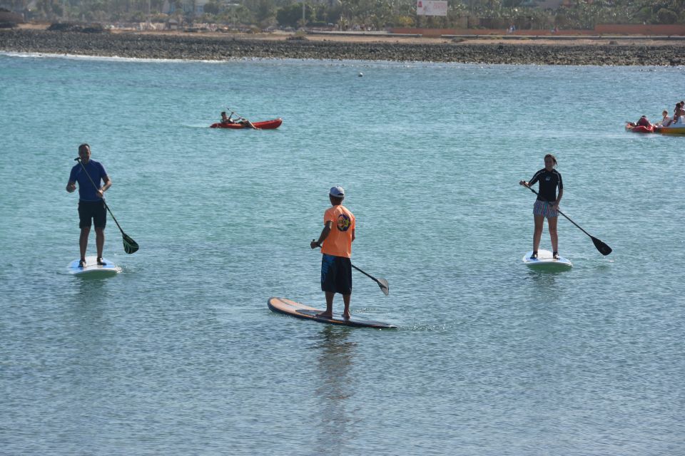 Fuerteventura: 1.5-Hour SUP Course - Caleta De Fuste - Location and Duration