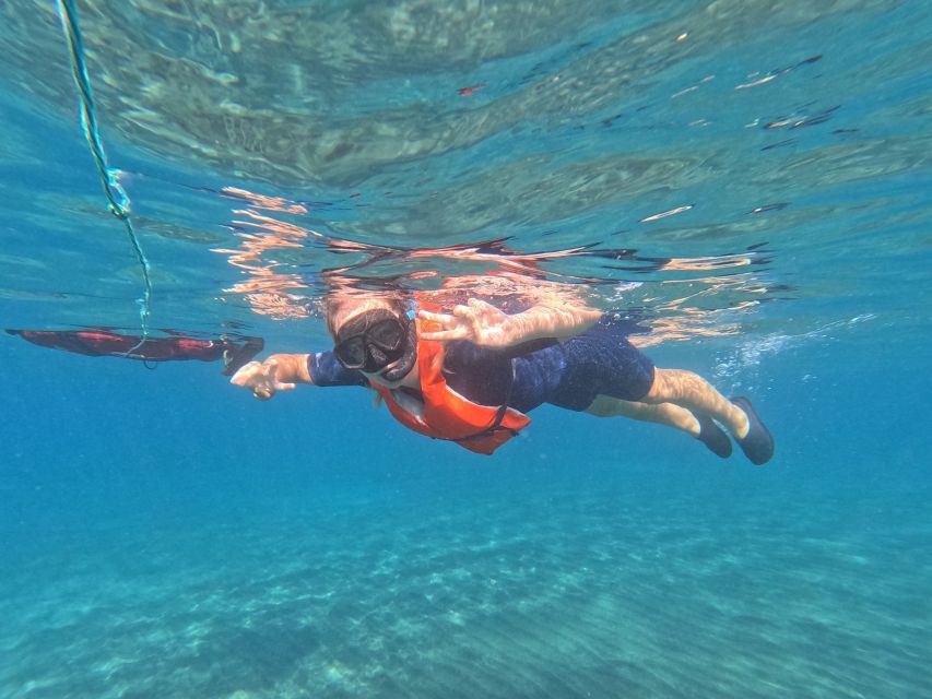 Fuerteventura: Guided Snorkeling in La Lajita With Pickup - Gear and Training Provided