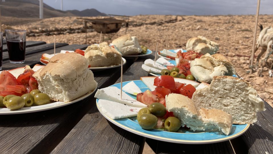 Fuerteventura: Guided Trekking Tour With Island Goats - Participant Demographics