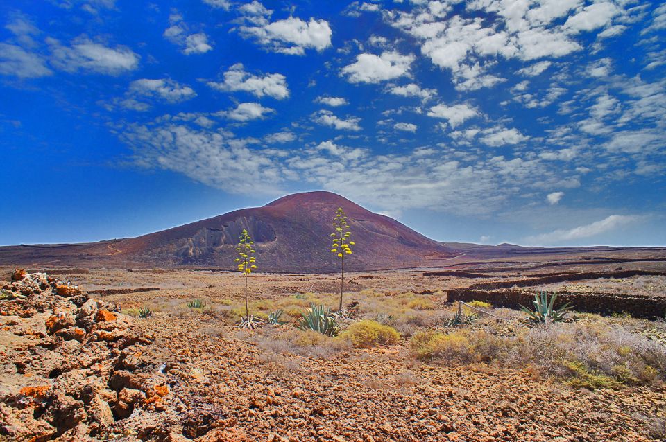 Fuerteventura: Trekking Tour Through the North of the Island - Highlights and Itinerary