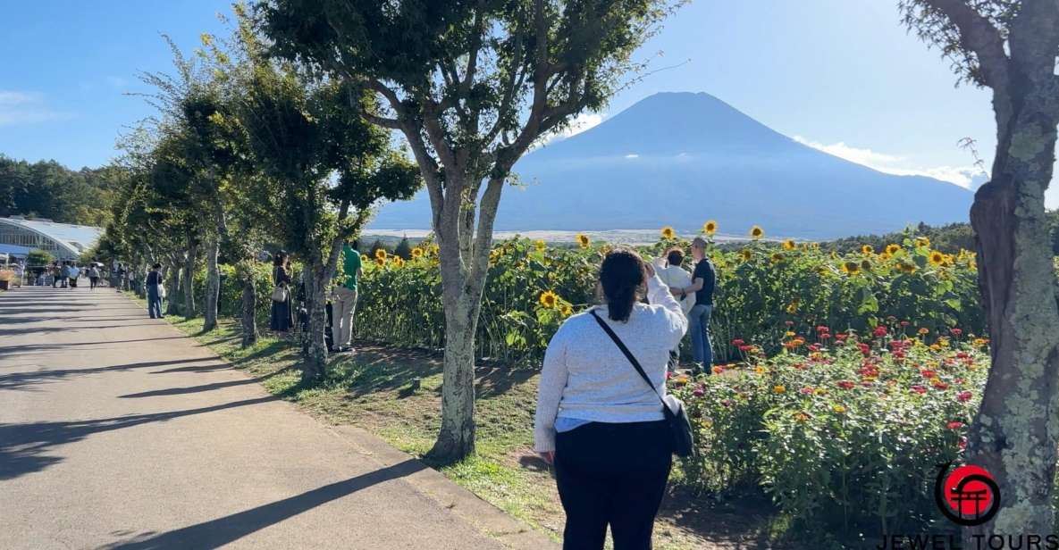 Fuji Yamanaka Lake. Oshino Hakkai and Local Noodles - Scenic Highlights and Activities