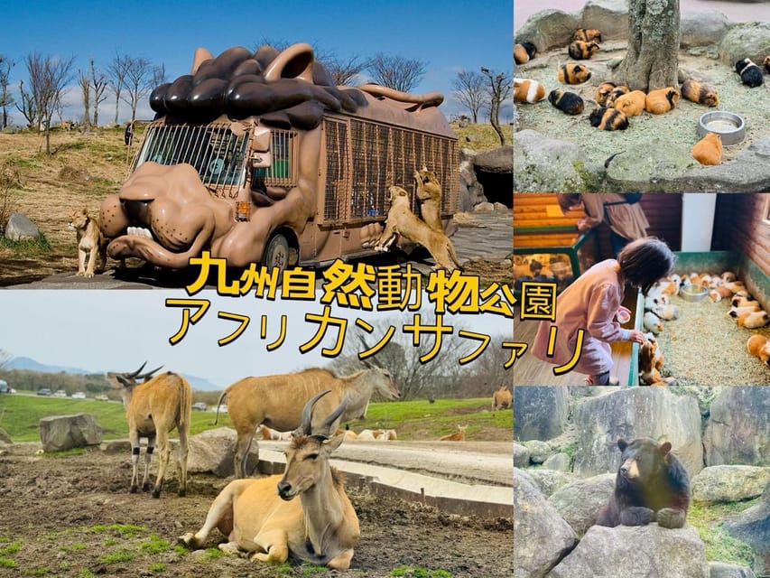 Fukuoka: Kyushu Natural Animal Park & Yufuin One Day Tour - Kyushu African Safari Experience