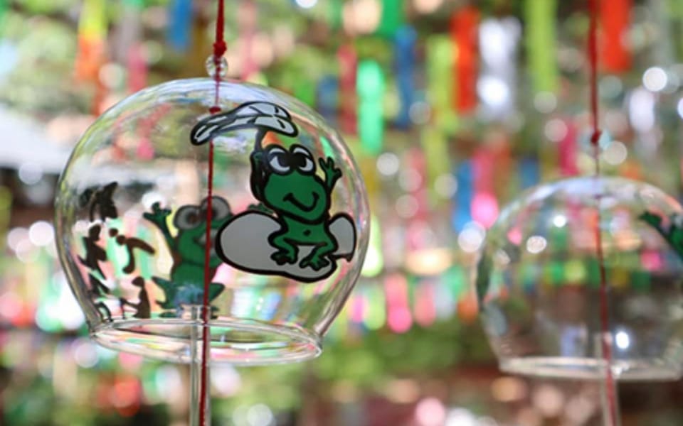 Fukuoka: Nyoirinji Frog Temple & Beppu & Yufuin One-Day Tour - Transportation Information