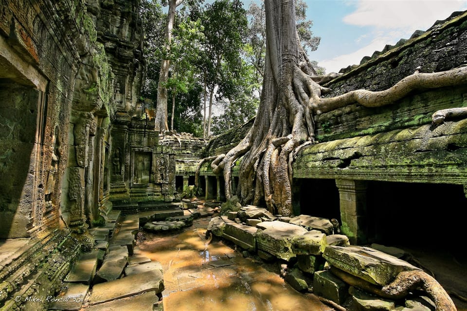 Full-Day Angkor Wat Join-In Group Guided Tour - Itinerary Highlights