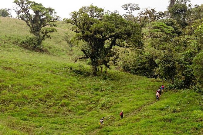 Full-Day Bajos Del Toro Hiking Experience - Itinerary