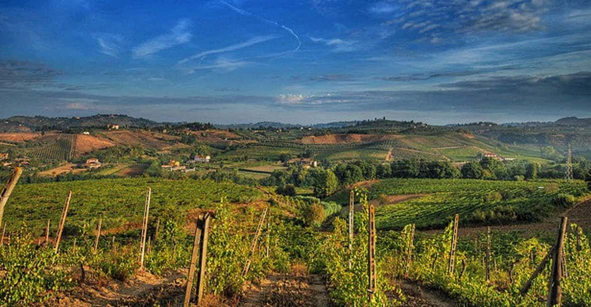 Full-Day Chianti Classico Wine Tour With Lunch/Wine Tasting - Wine and Food Experience