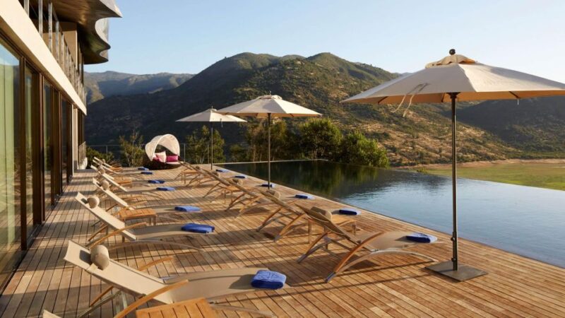 Full Day Colchagua Private Luxury 3 Wineries - Itinerary Highlights